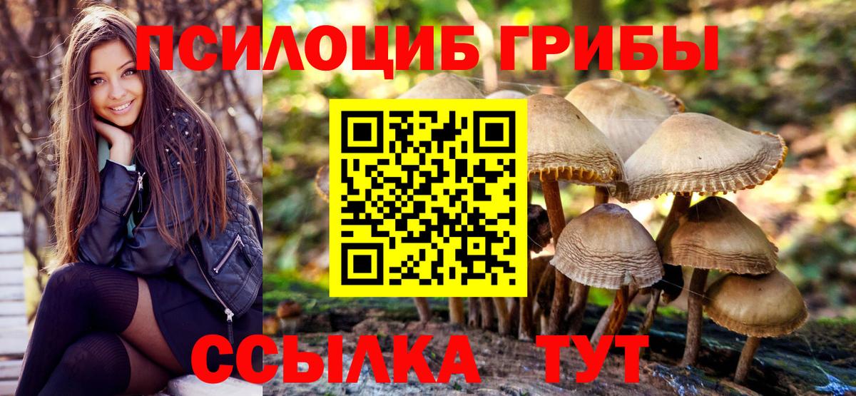 Новоалтайск  Галлюциногенные грибы мицелий  где купить наркоту  Вход с VPN 