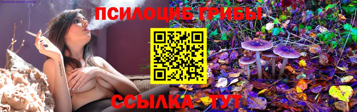 Галлюциногенные грибы Cubensis Новоалтайск